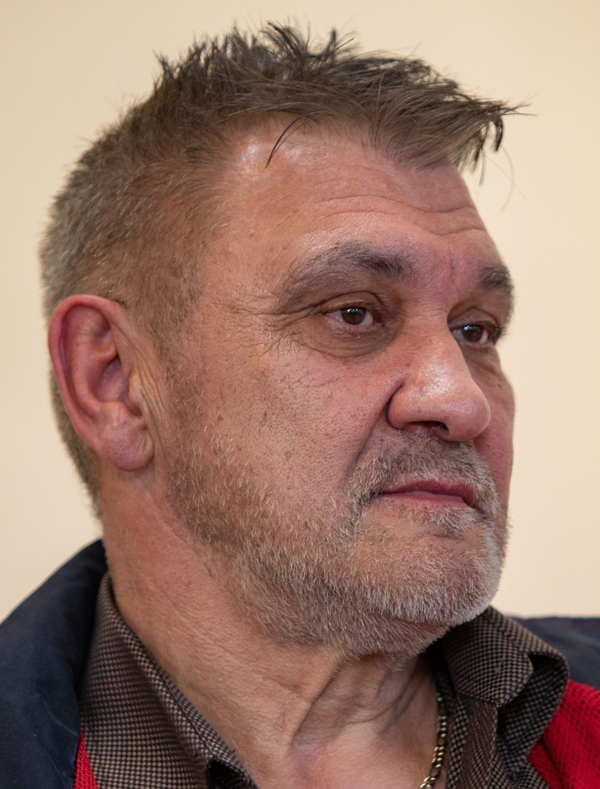 D. Mészáros Elek D. Mészáros Elek